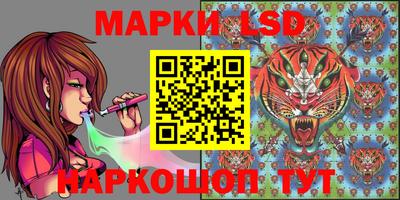мдпв Нальчик