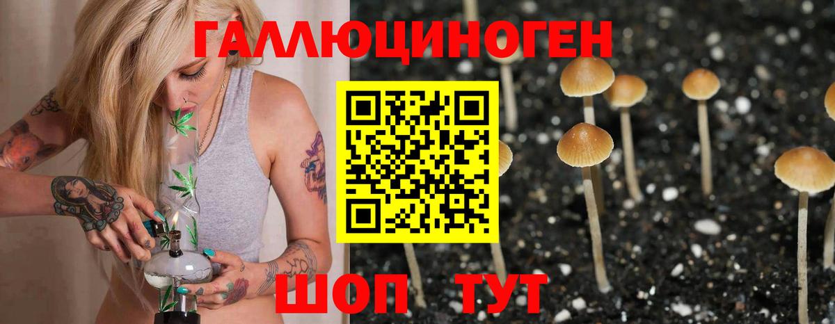 Галлюциногенные грибы Cubensis  Вход с VPN  Сибай  Псилоцибиновые грибы MAGIC MUSHROOMS 